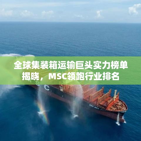 全球集装箱运输巨头实力榜单揭晓，MSC领跑行业排名