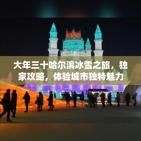 大年三十哈尔滨冰雪之旅，独家攻略，体验城市独特魅力