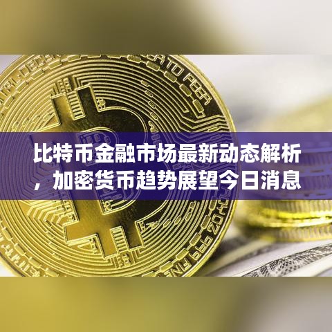 比特币金融市场最新动态解析，加密货币趋势展望今日消息速递