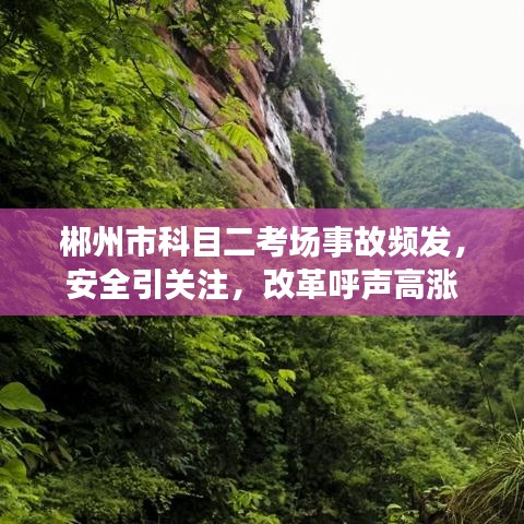 郴州市科目二考场事故频发，安全引关注，改革呼声高涨