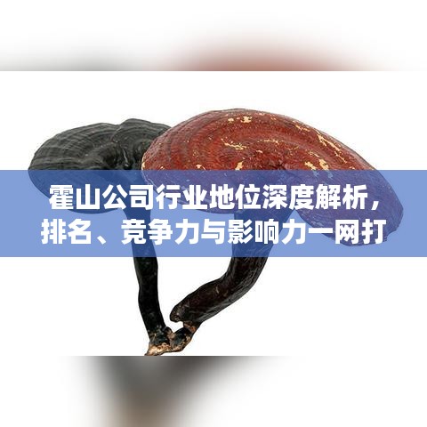 霍山公司行业地位深度解析，排名、竞争力与影响力一网打尽！