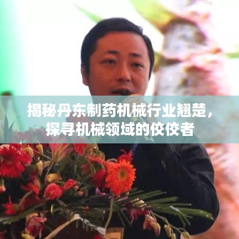揭秘丹东制药机械行业翘楚，探寻机械领域的佼佼者