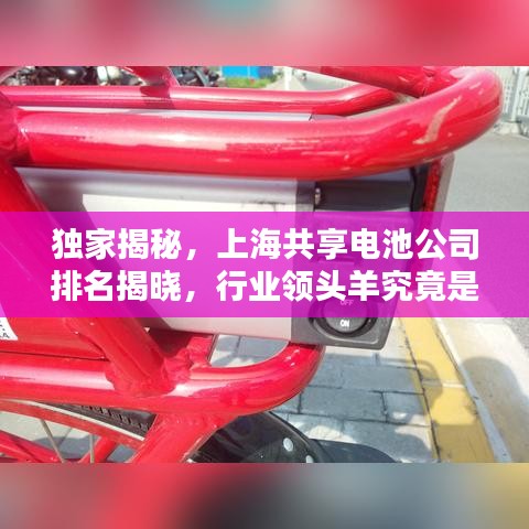 独家揭秘，上海共享电池公司排名揭晓，行业领头羊究竟是谁？