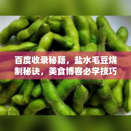 百度收录秘籍，盐水毛豆烧制秘诀，美食博客必学技巧！