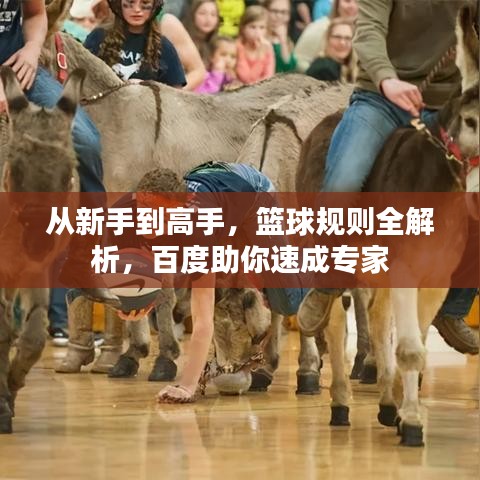 从新手到高手，篮球规则全解析，百度助你速成专家