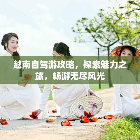 越南自驾游攻略，探索魅力之旅，畅游无尽风光