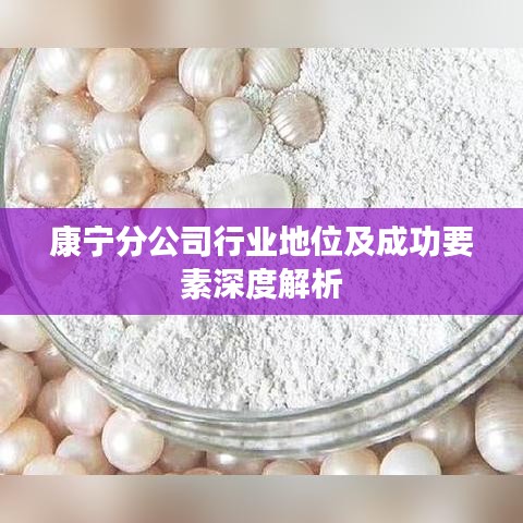康宁分公司行业地位及成功要素深度解析