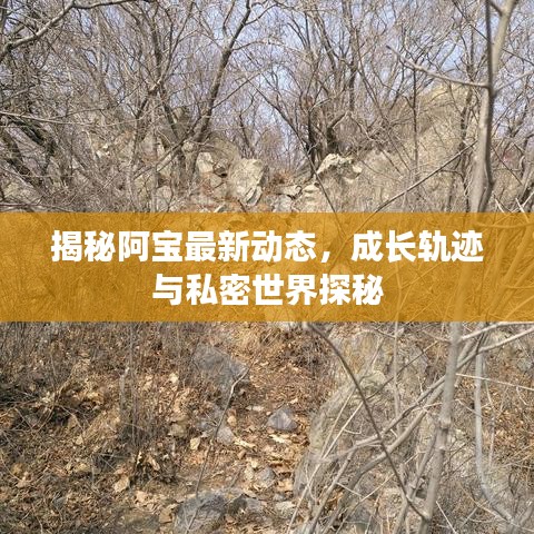 揭秘阿宝最新动态，成长轨迹与私密世界探秘