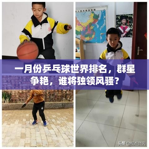 一月份乒乓球世界排名，群星争艳，谁将独领风骚？
