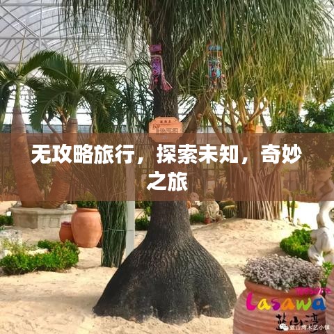 无攻略旅行，探索未知，奇妙之旅