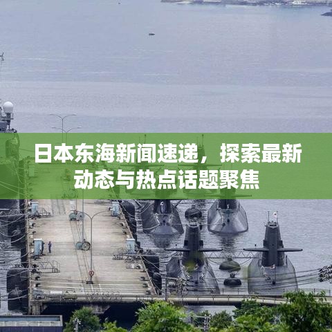 日本东海新闻速递，探索最新动态与热点话题聚焦