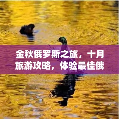 金秋俄罗斯之旅，十月旅游攻略，体验最佳俄罗斯风情