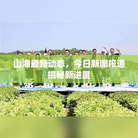 山海最新动态，今日新闻报道揭秘新进展
