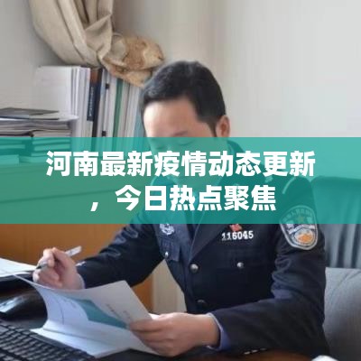 河南最新疫情动态更新，今日热点聚焦