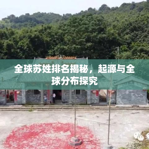 全球苏姓排名揭秘，起源与全球分布探究
