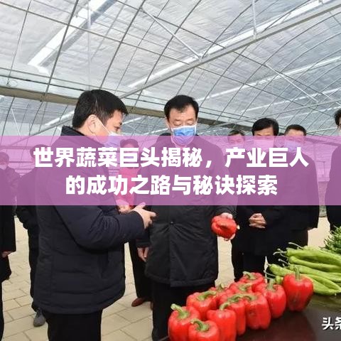 世界蔬菜巨头揭秘，产业巨人的成功之路与秘诀探索