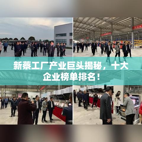 新蔡工厂产业巨头揭秘，十大企业榜单排名！