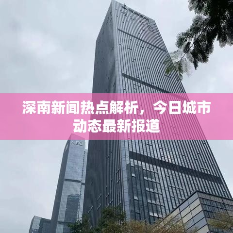 深南新闻热点解析，今日城市动态最新报道
