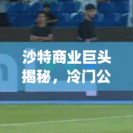 沙特商业巨头揭秘，冷门公司排名与未知商业力量探索