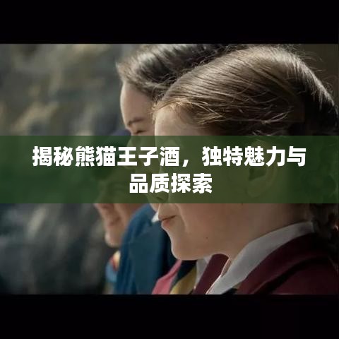 揭秘熊猫王子酒，独特魅力与品质探索