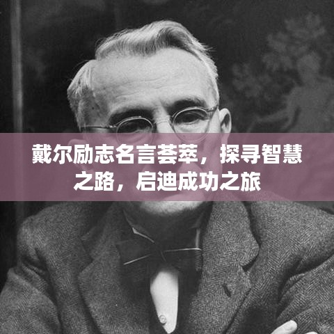 戴尔励志名言荟萃，探寻智慧之路，启迪成功之旅