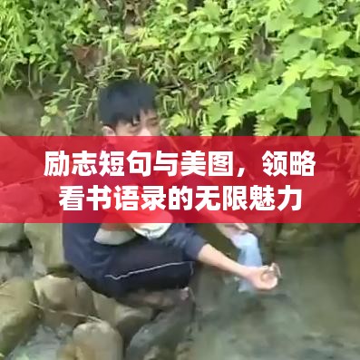 励志短句与美图，领略看书语录的无限魅力