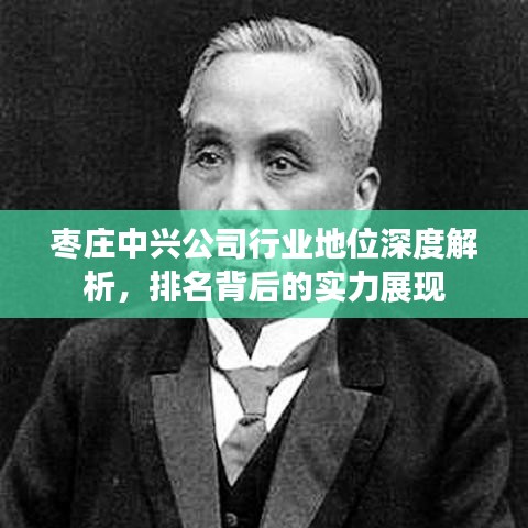 枣庄中兴公司行业地位深度解析，排名背后的实力展现