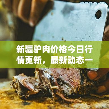 新疆驴肉价格今日行情更新，最新动态一网打尽