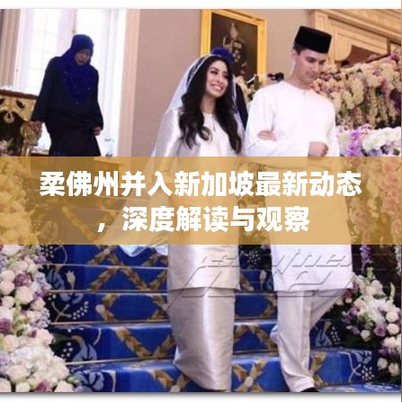柔佛州并入新加坡最新动态，深度解读与观察