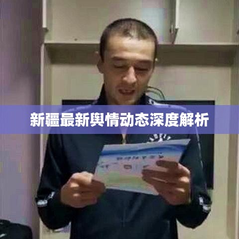 新疆最新舆情动态深度解析