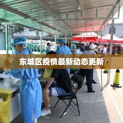 东城区疫情最新动态更新