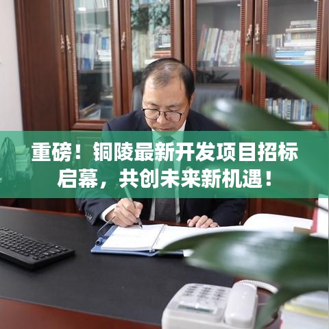 重磅！铜陵最新开发项目招标启幕，共创未来新机遇！
