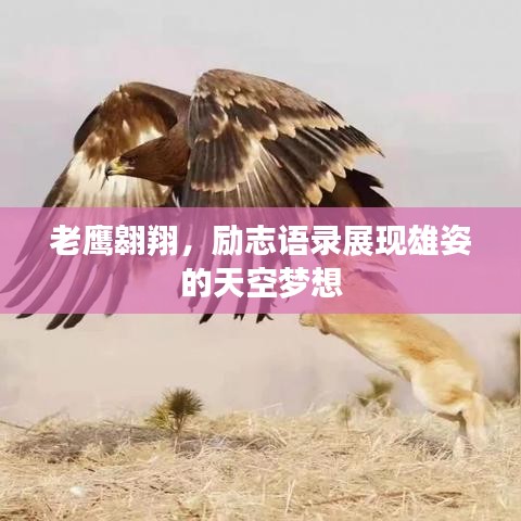 老鹰翱翔，励志语录展现雄姿的天空梦想