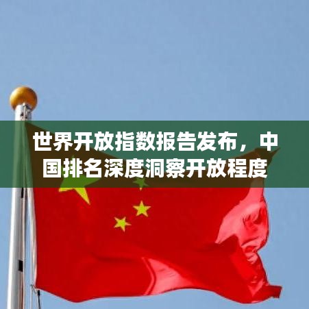 世界开放指数报告发布，中国排名深度洞察开放程度