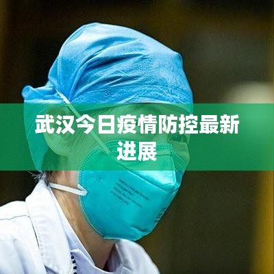 武汉今日疫情防控最新进展