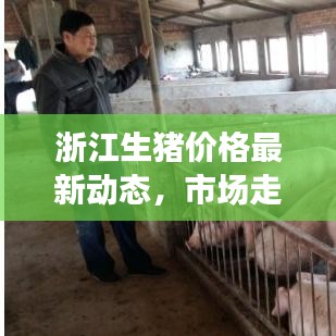 浙江生猪价格最新动态，市场走势、影响因素深度解析