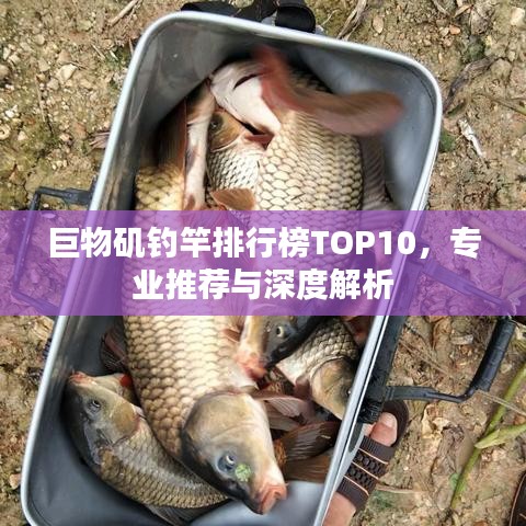 巨物矶钓竿排行榜TOP10，专业推荐与深度解析