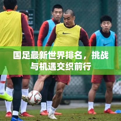 国足最新世界排名，挑战与机遇交织前行