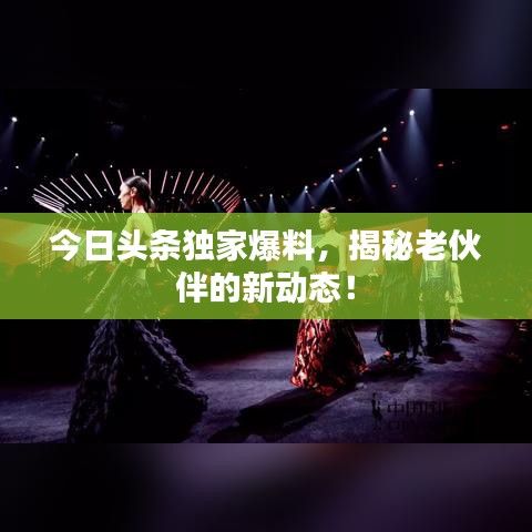 今日头条独家爆料，揭秘老伙伴的新动态！