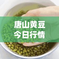 唐山黄豆今日行情，最新价格、市场走势及影响因素深度解析