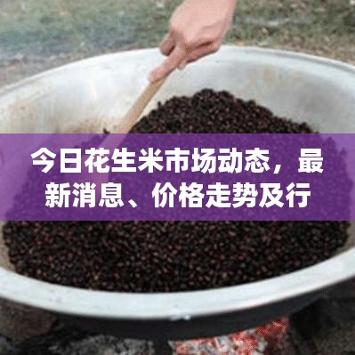 今日花生米市场动态，最新消息、价格走势及行业未来展望