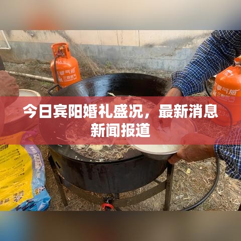 今日宾阳婚礼盛况，最新消息新闻报道