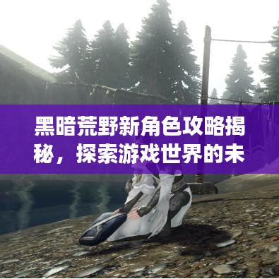 黑暗荒野新角色攻略揭秘，探索游戏世界的未知奥秘