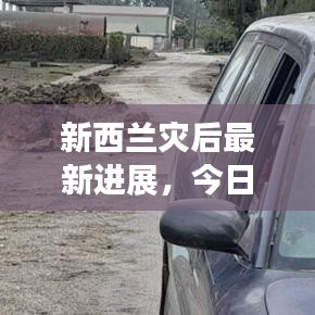 新西兰灾后最新进展，今日消息更新汇总