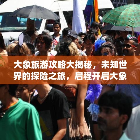 大象旅游攻略大揭秘，未知世界的探险之旅，启程开启大象之旅！