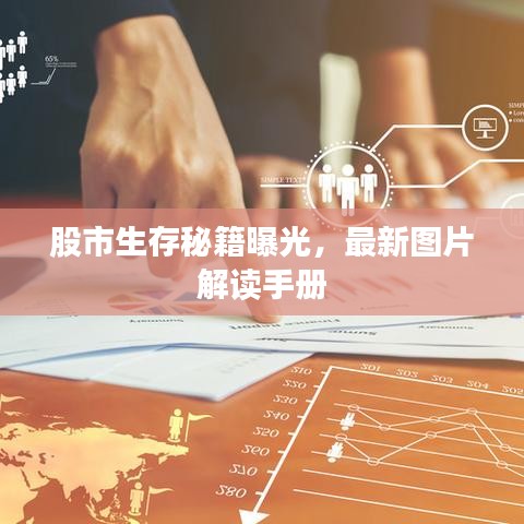 股市生存秘籍曝光，最新图片解读手册