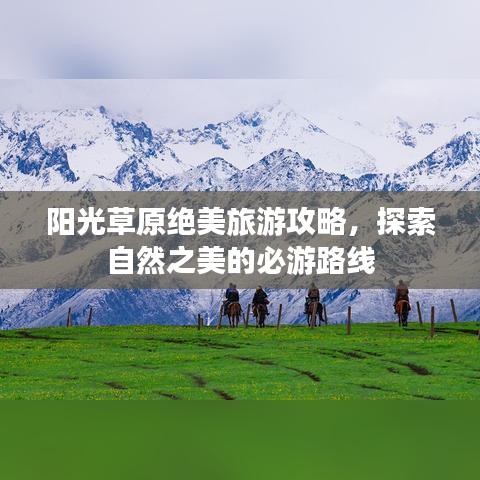 阳光草原绝美旅游攻略，探索自然之美的必游路线