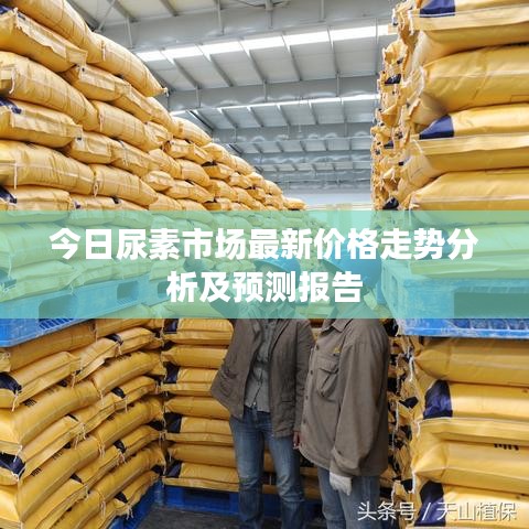 今日尿素市场最新价格走势分析及预测报告