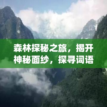 森林探秘之旅，揭开神秘面纱，探寻词语中的森林之美
