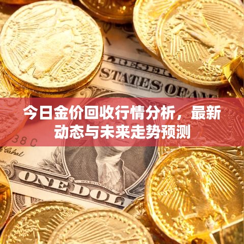 今日金价回收行情分析，最新动态与未来走势预测